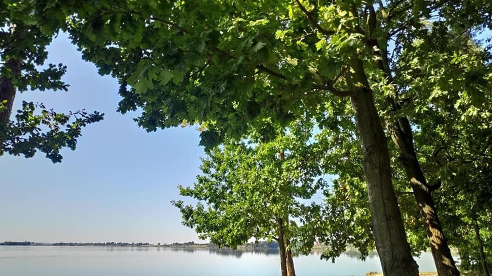 Domki Letniskowe Ґміна Неліш Екстер'єр фото